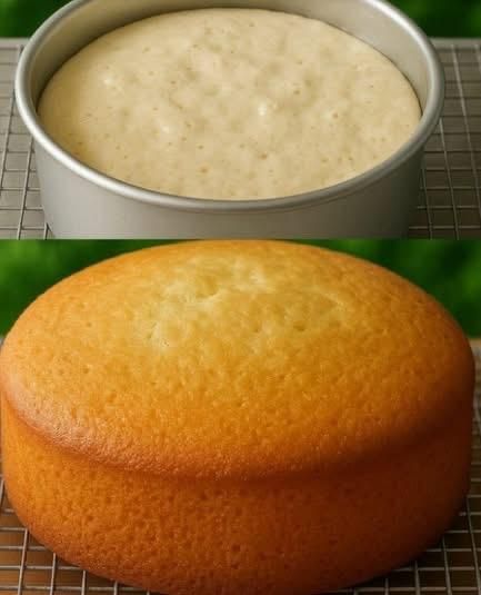 Soft and Fluffy Vanilla Sponge Cake